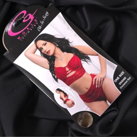 G World Intimates OH2468 Cinnamon Red Satin Straps Bra & High Waist Panty Set - Picture 6 of 9